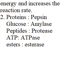 Lab exercise 5